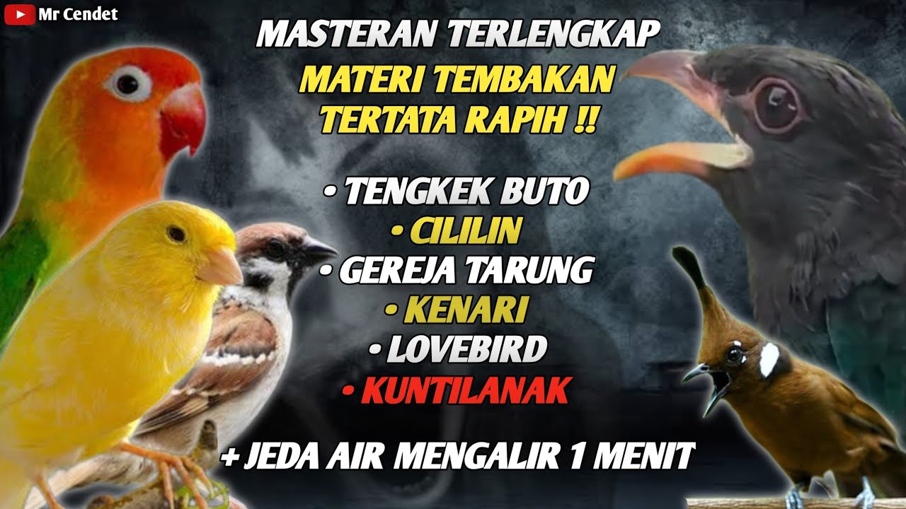 MASTERAN TERLENGKAP TEMBAKAN TENGKEK BUTO, CILILIN, GEREJA TARUNG, KENARI, LOVEBIRD, KUNTILANAK !!