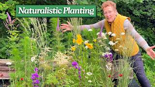 9 Perfect Plants for Naturalistic Style Planting & How to Achieve This Look