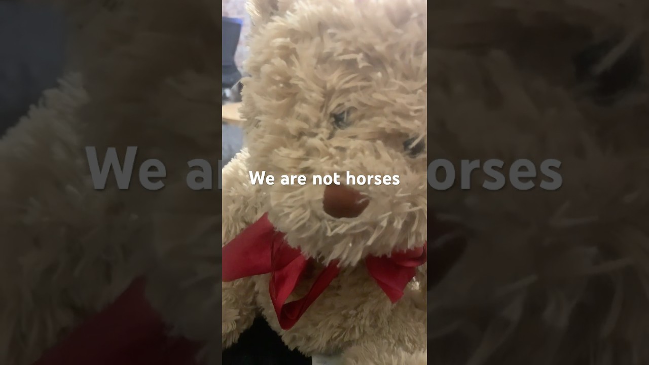 Teddy bear 456 eliminated