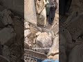 揭秘石破天惊!颚式破碎机如何咬碎石头