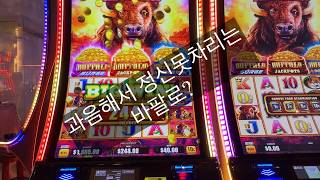라스베가스 카지노 슬롯머신 2탄, 숙취심한 버팔로, 플래넷 무울라 (외계소) 소는 누가 키우냐고.. screenshot 1