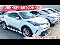 АВТОРЫНОК ЗЕЛЕНЫЙ УГОЛ ЦЕНЫ НОВИНКИ АПРЕЛЬ 2021