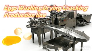 8-Station Automatic Egg Washing Drying Cracking Production Line Auto Egg Liquid Separation Machine