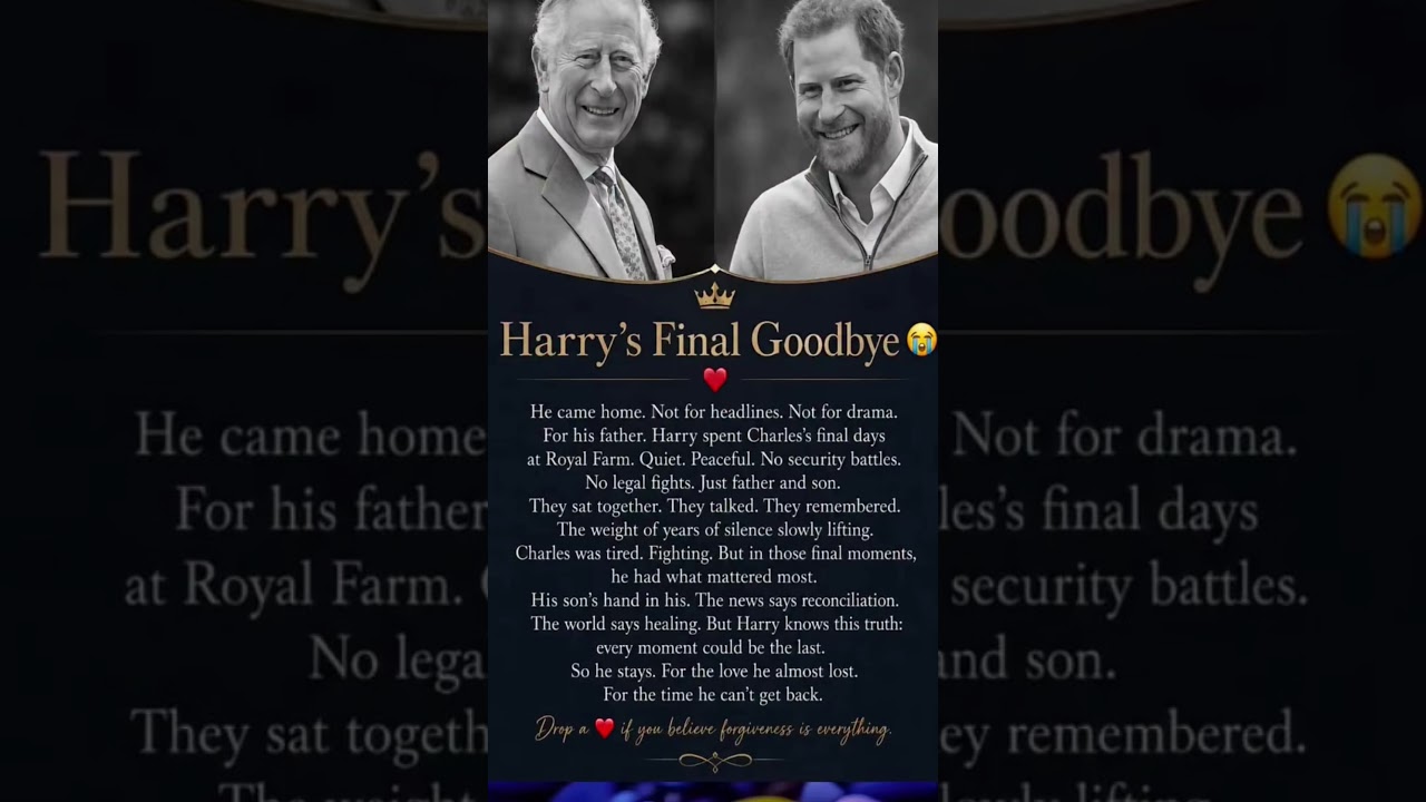  - HeartVod