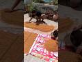 DAY 15 Aaj ghr k kuch zaruri kaam kiye...#dailyvlog #shorts #shortsviral #shortvideo #viralvideo