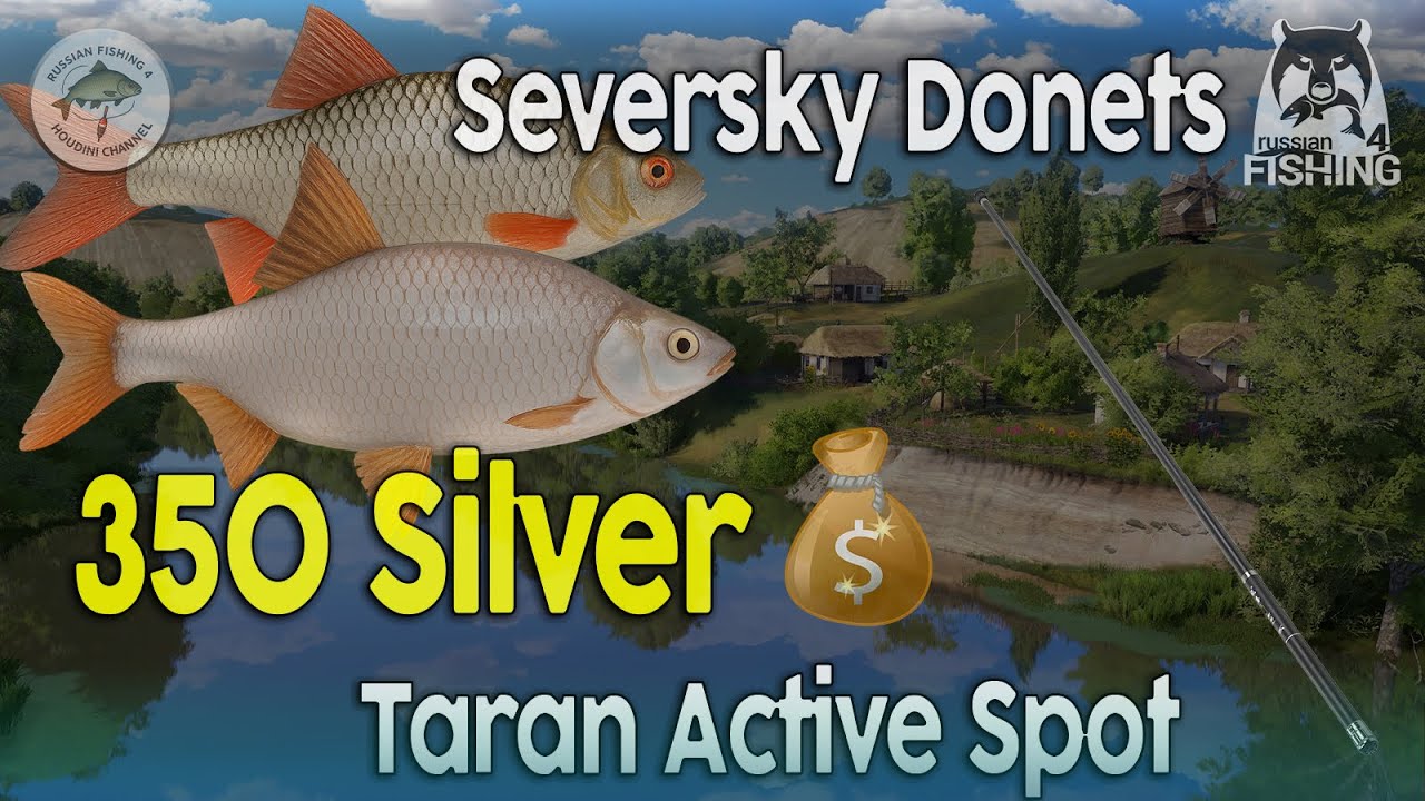 📌 Ultimate Taran Float Fishing Guide – Active Spot on Seversky Donets River | Russian Fishing 4