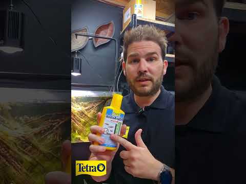 Why Tapwater is Ruining Your Filter! #FilterMaintenance #shorts #AquariumFilter #water #tetrafilter