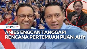 Beda Tanggapan NasDem dan Anies Soal Wacana Pertemuan Puan dan AHY