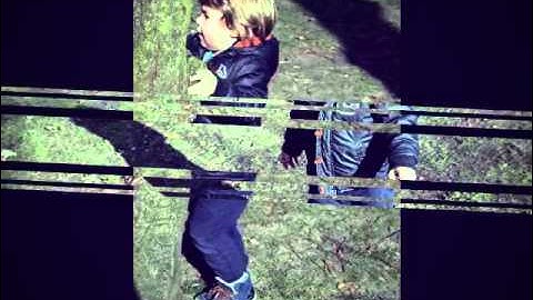 Kizoa Video Maker: Aidan Boomknuffelaar