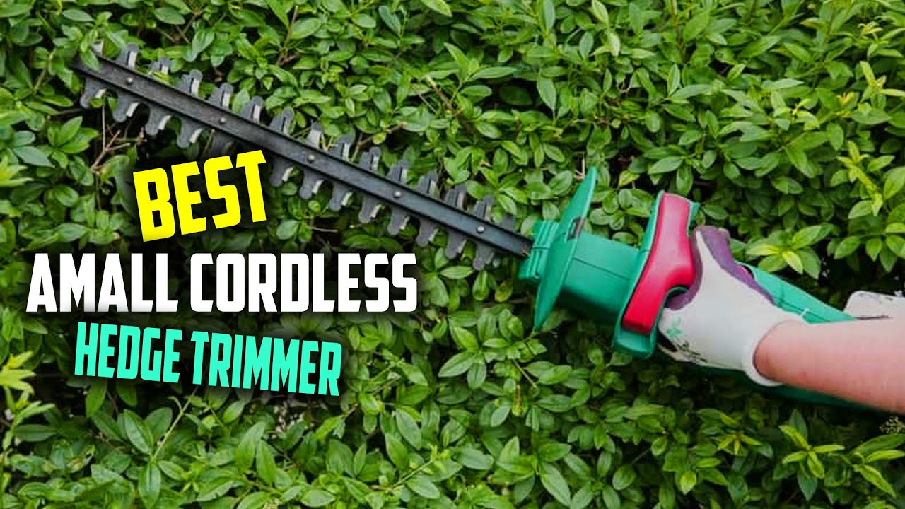 Top 5 Best Small Cordless Hedge Trimmer Review in 2023 Cordless Grass