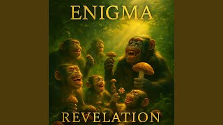 Revelation Net Worth