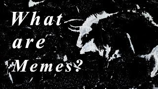 What Are Memes?