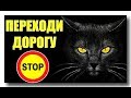 3 ПРИМЕТЫ, которые ты знал(а) в школе