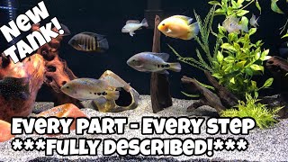 Moving Cichlids to New Bigger Tank [Step-by-Step] - Moving Fish Successfully without Death & Stress