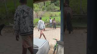 Person’s Horse Mounting Fail Caught on Video