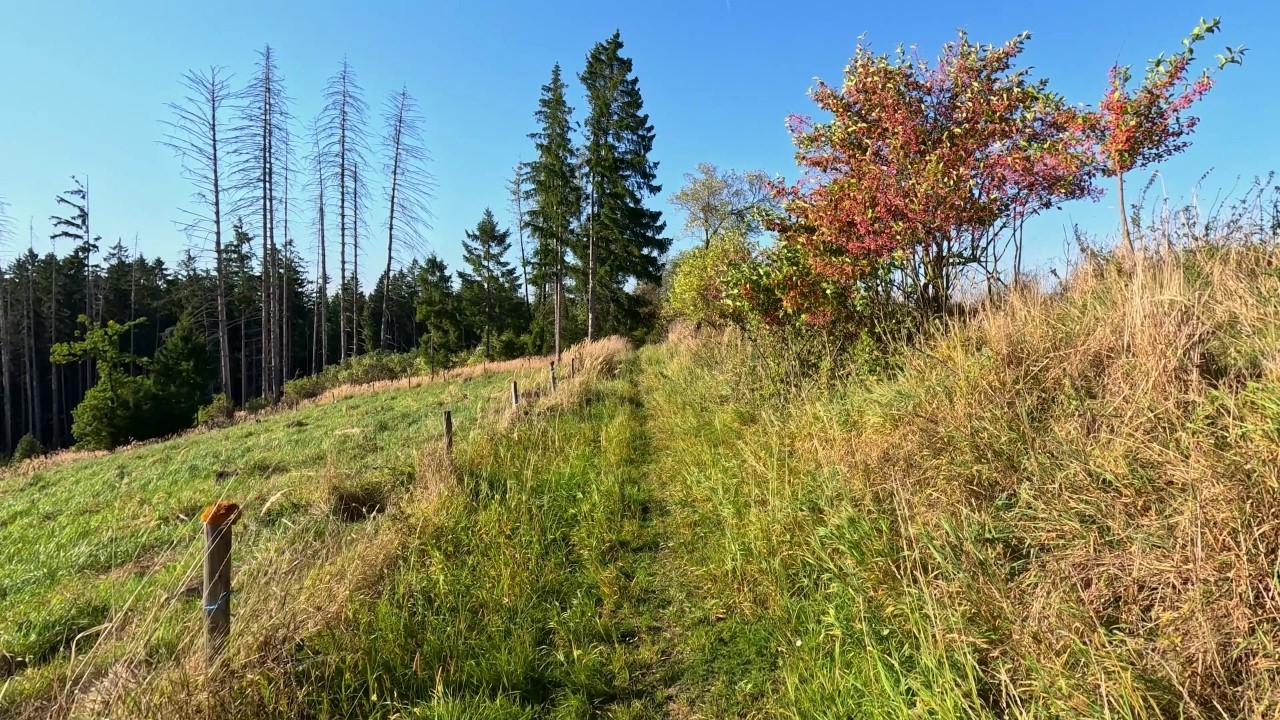 Hiking in Czechia 🟨 Fabiánka – Svatá Markéta | Highlands • 4K HDR