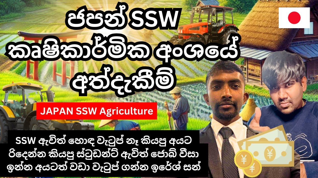 SSW ඇවිත් සුපිරි පඩියක් ගන්න හැටි | SSW Visa Agriculture | Japan work visa | Sinhala #workinjapan
