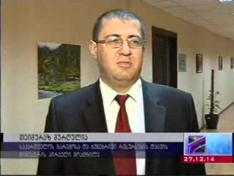 MOE: პოლიეთილენის პარკებს ბიოდეგრადირებადი პარკები ჩაანაცვლებს