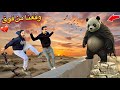 الدب الباندا المتوحش هجم علينا وقعنا من فوق السطح مكار و يوسف النني 