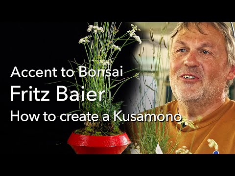 Fritz Baier nimmt uns mit in die faszinierende Welt des Kusamono, den Gras- Bonsai - YouTube