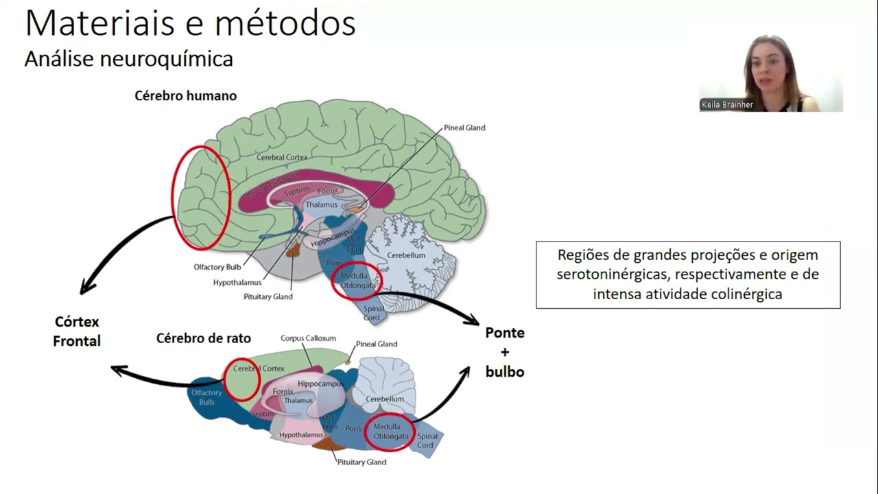 Keila Alves Semeão Brainher - DEFESA DE DO 22/01/2026