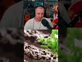 реальный майнкрафт #стинт #stint #stintik #прикол #реакция