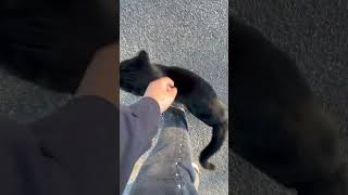 Misty Is Saying Hi To Yall