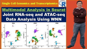 Multimodal Analysis in Seurat: Joint RNA and ATAC Data Analysis Using WNN