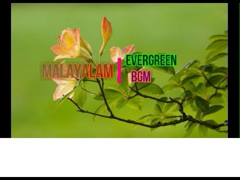 top-malayalam-evergreen-bgm