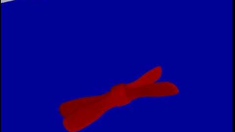 Particle system with pressure forces