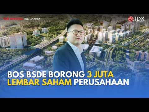 Bos BSDE Tambah Kepemilikan Saham, Sinyal Positif untuk Investor? | MILENOMICS