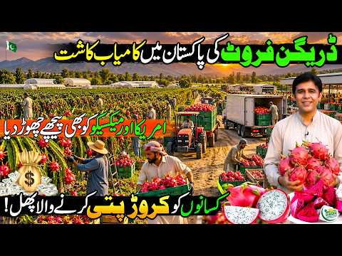 Dragon Fruit: The Red Gold of Pakistan | Billion Dollar Crop | Kissan Ka Pakistan