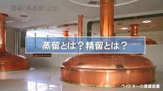 パインケミカル　#5【蒸留の基礎知識】単蒸留、連続蒸留、精留とは？