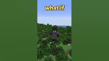 How To Break Bedrock in Minecraft...