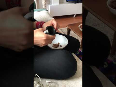 شوفوا طريقة أكل البندق التركي الأصلي وتكسيره من مكانه في محافظة جريسون ب تركيا