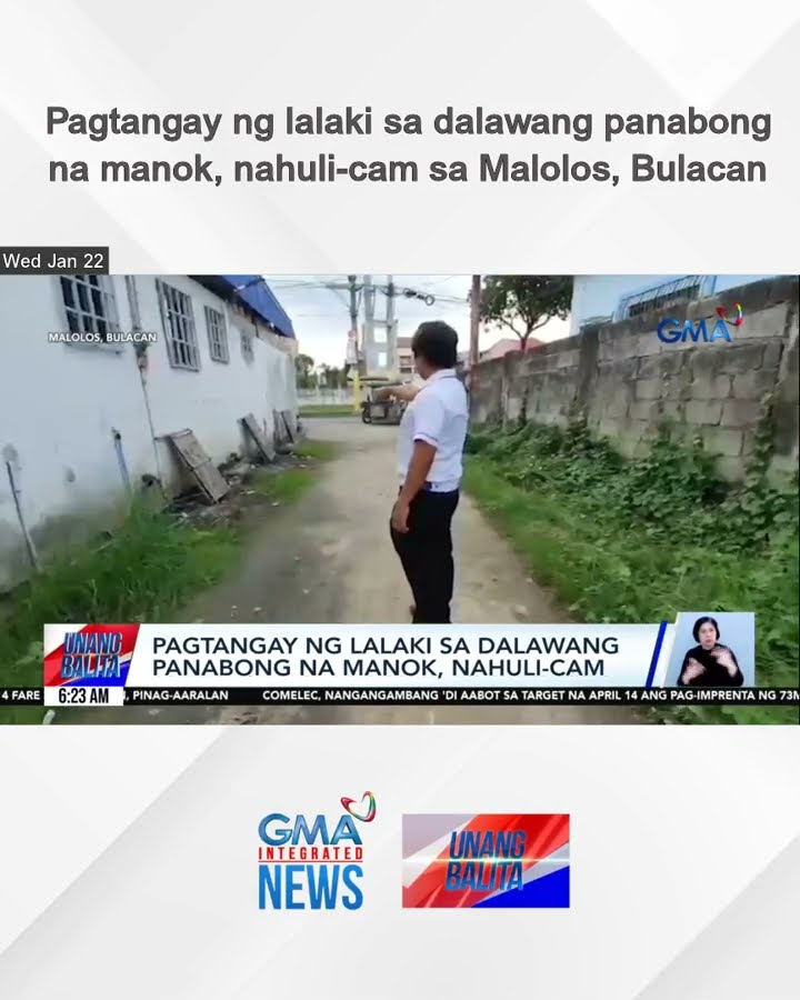 Pagtangay ng lalaki sa dalawang panabong na manok, nahuli-cam sa Malolos, Bulacan | Unang Balita