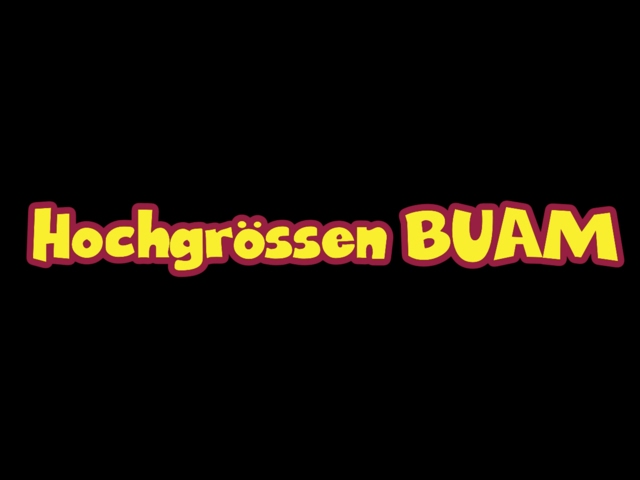 Hochgrössen Buam - Immer wenn es Nacht wird