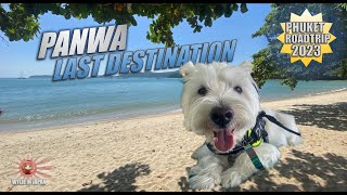 Phuket Roadtrip Final Leg | Panwa Beach | Pet Friendly Thailand by Wylie Westie 300 views 3 months ago 15 minutes