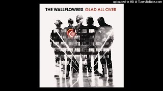 The Wallflowers- Love is a Country