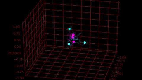 Karenina Spatial Ornstein Uhlenbeck Simulation Video