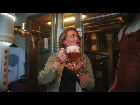Omnipollo X Budvar // Triple Saaz Launch Event Highlights