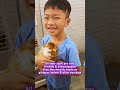 Lavish Pet Centre