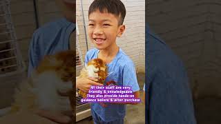 Lavish Pet Centre