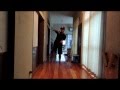 DANCE EARTH PARTY  MOON DANCE  「踊ってみた」