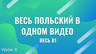 Весь польский в одном видео. Весь B1. Часть 3. Польские диалоги. Польский с нуля. Польский язык.