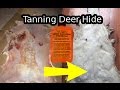 Deer Hide Tanning with Deer Hunter's & Trapper's Hide Tanning Formula