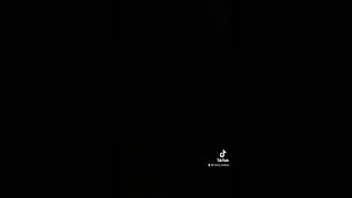 IMG 124