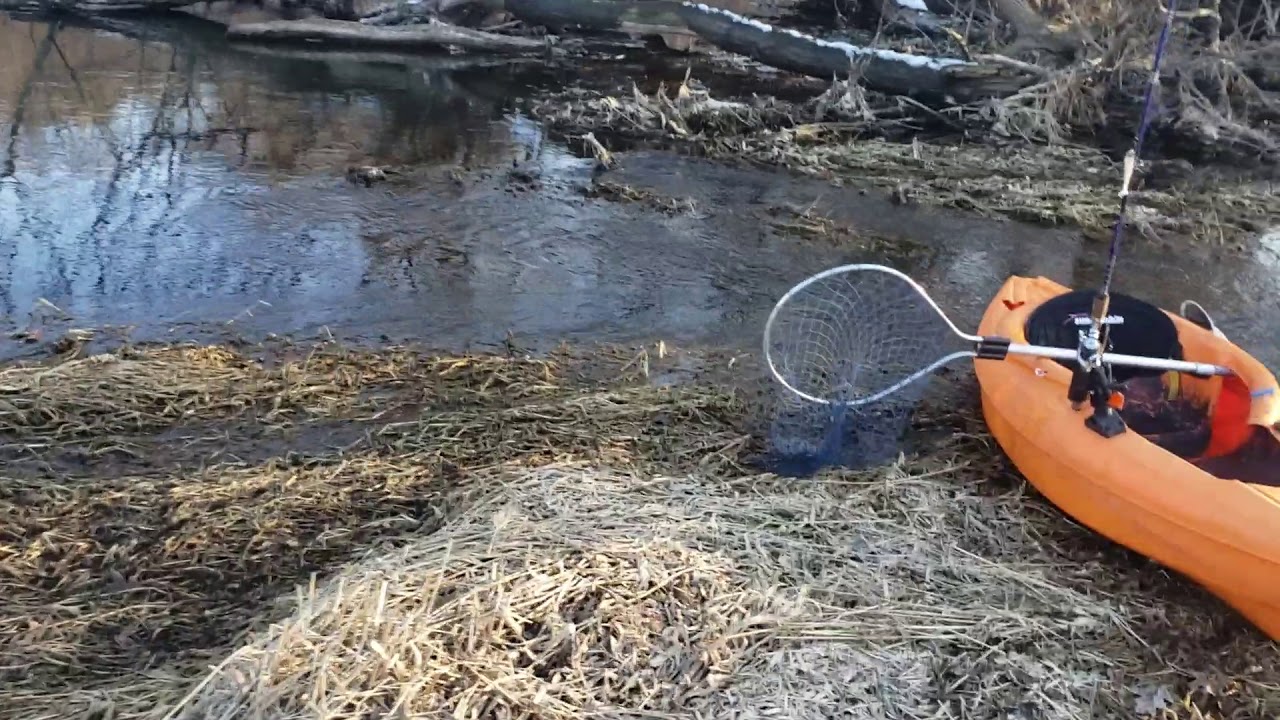 Pike fishing on the river 