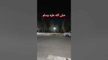 تلاوات الشيخ ماهر المعيقلي سورة الحجرات