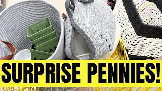 Lets Go Visuals Pillows Baskets Dollar General Surprise Pennies